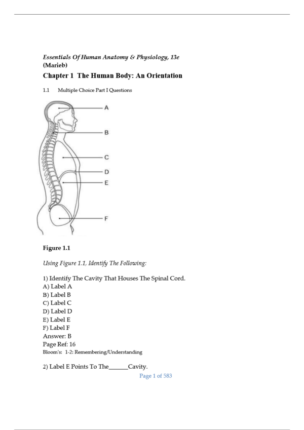 Test Bank for Essentials of Human Anatomy & Physiology 13th Edition by ...