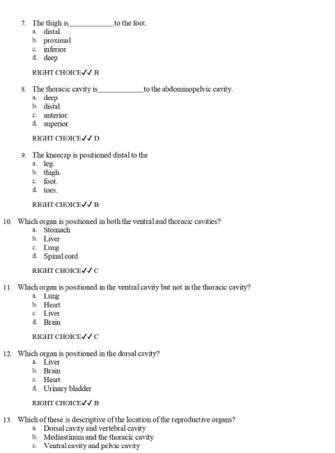 Test Bank for The Human Body in Health and Illness 7th Edition by Herlihy - Image 3